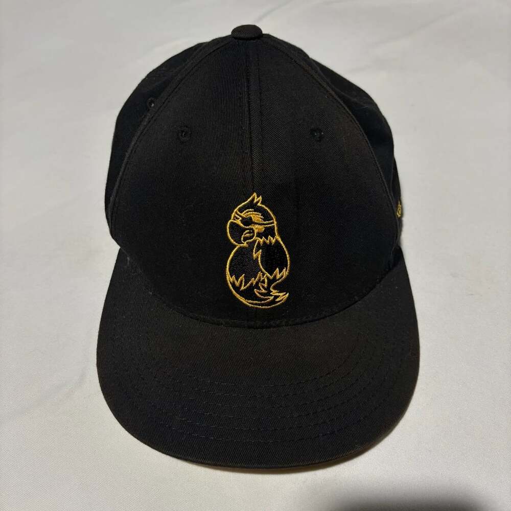 Vice Golf Crew Cap Hat Black Pirate Parrot Adjustable Dad Hat Ball Marker